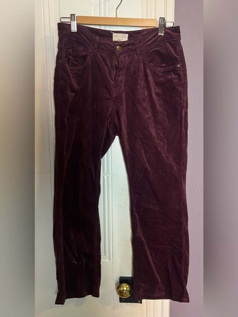 Pilcro women's Corduroy Pants in Wine